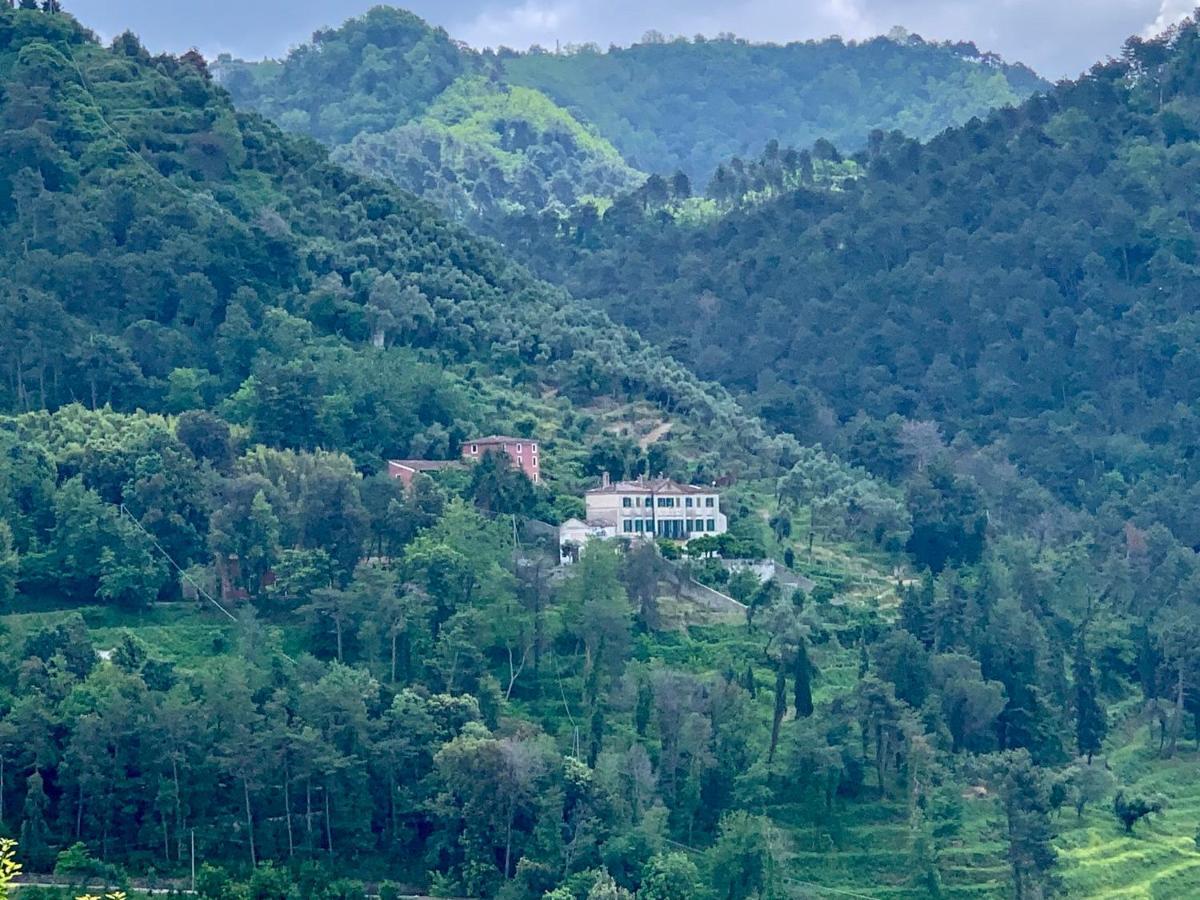 Agriturismo Villa Cavallini Camaiore Bagian luar foto